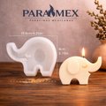 Elefante