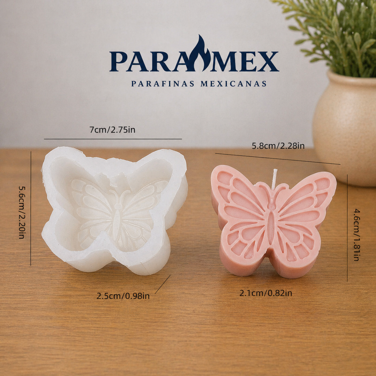 Mariposa